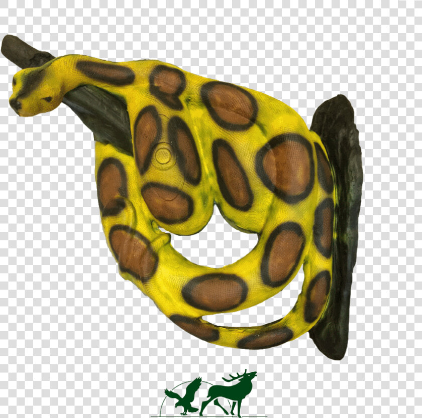 Leitold 3d target Boa Constrictor Light Green   Frog  HD Png DownloadTransparent PNG