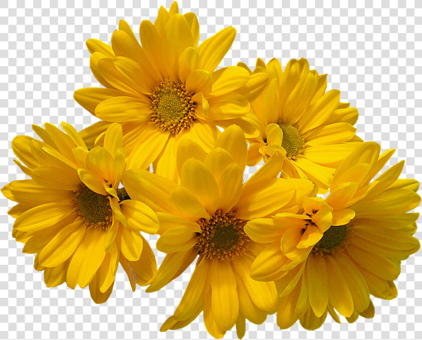 Yellow Flowers Bouquet Png Transparent Image   Yellow Aesthetic Flower Png  Png DownloadTransparent PNG