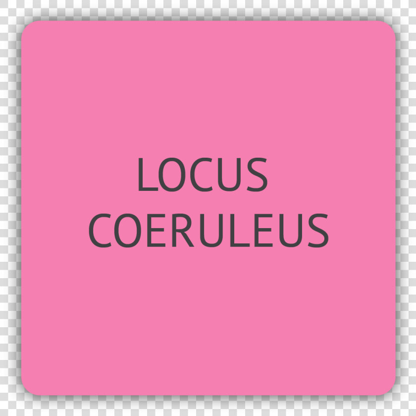 Locus Coeruleus  HD Png DownloadTransparent PNG