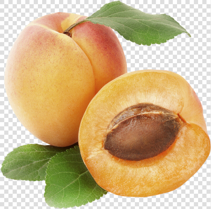 Apricot Rex Orange County  HD Png DownloadTransparent PNG