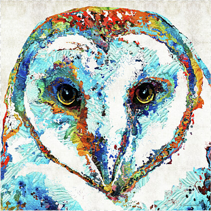 Colorful Barn Owl Art   Sharon Cummings  HD Png DownloadTransparent PNG