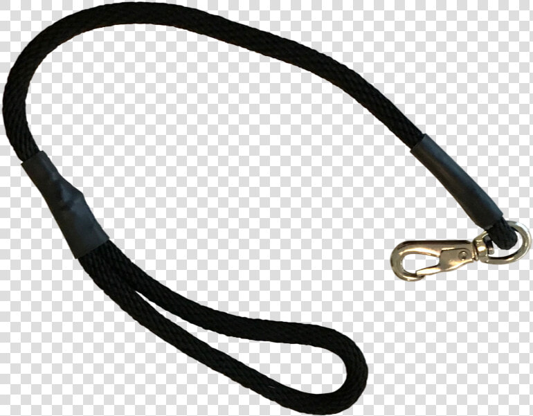 Training Leash Dog   Leash  HD Png DownloadTransparent PNG