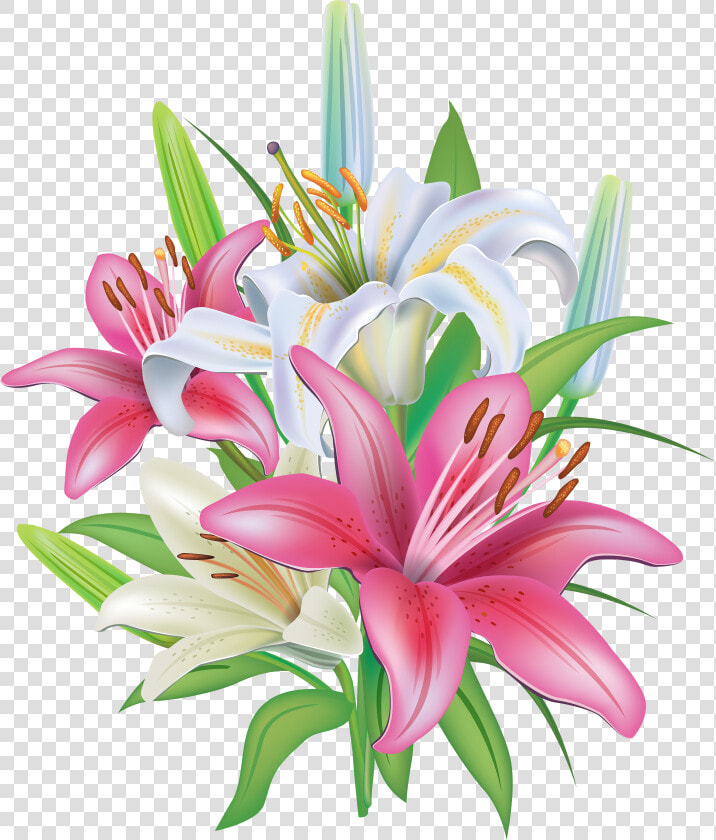 Pink Lilies Flores Pinterest   Transparent Lilies Clipart  HD Png DownloadTransparent PNG