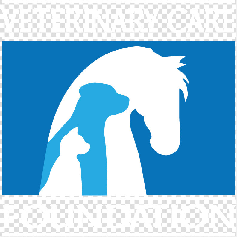 Veterinary Care Foundation  HD Png DownloadTransparent PNG