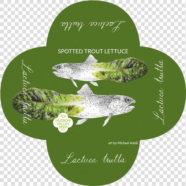 Spotted Trout Lettuce Quatrefoil   Trout  HD Png DownloadTransparent PNG