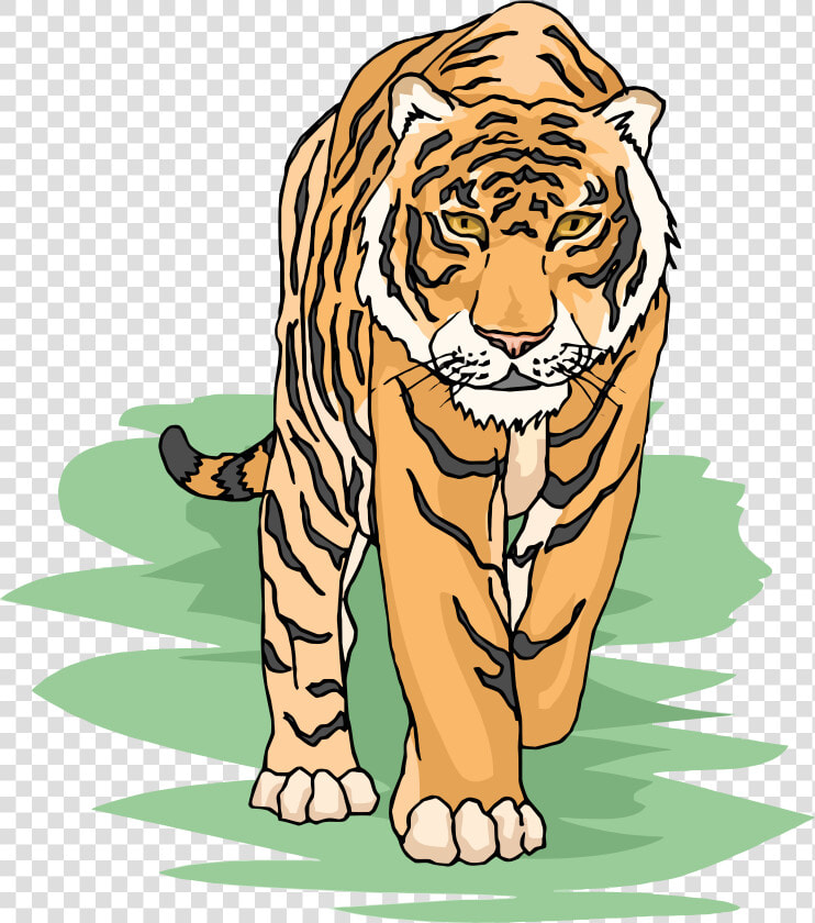 Tiger Clipart Cliparts And Others Art Inspiration  HD Png DownloadTransparent PNG