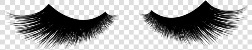 Services Let S Lash   Eyelash Extensions  HD Png DownloadTransparent PNG