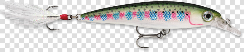 Rapala X Rap Rainbow Trout  HD Png DownloadTransparent PNG