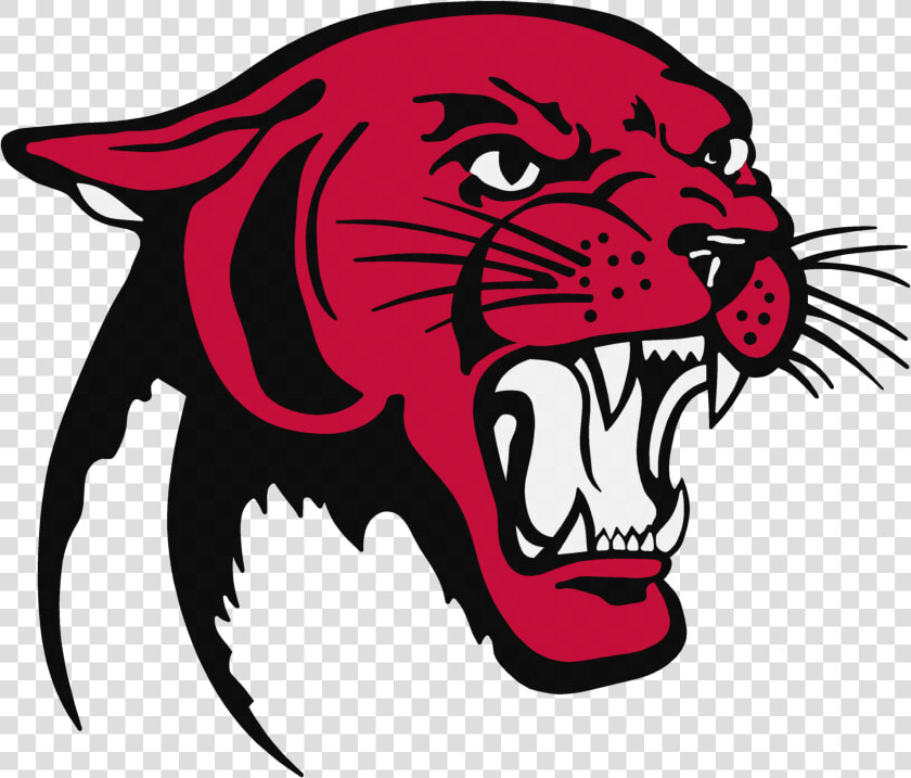 Download Panther Png Picture   Clifton Middle School  Transparent PngTransparent PNG