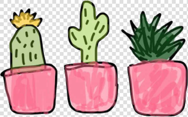  succulents  green  plants  cute  free  stickers  freetoedit   Transparent Cute Plant Cartoon  HD Png DownloadTransparent PNG