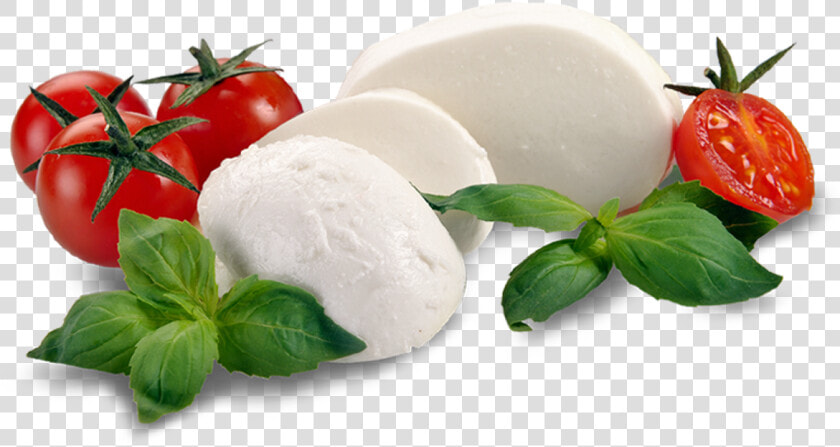 Transparent Mozzarella Png   Burrata Png  Png DownloadTransparent PNG