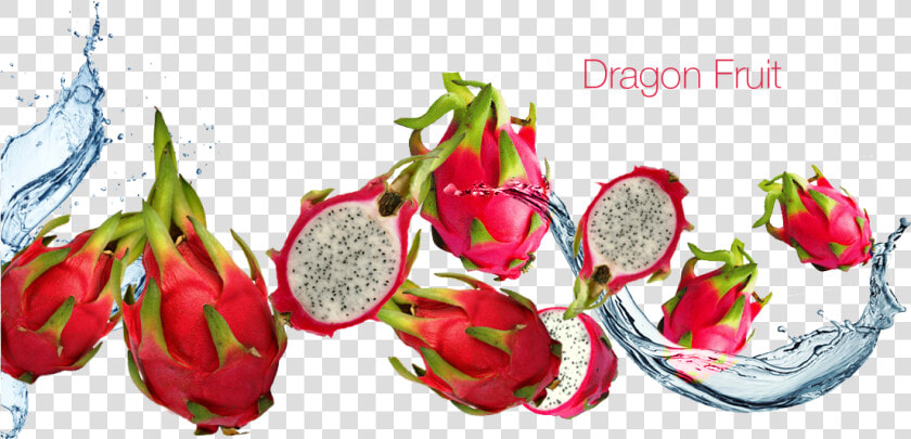 Transparent Dragon Fruit Png   Dragon Fruit Juice Png  Png DownloadTransparent PNG