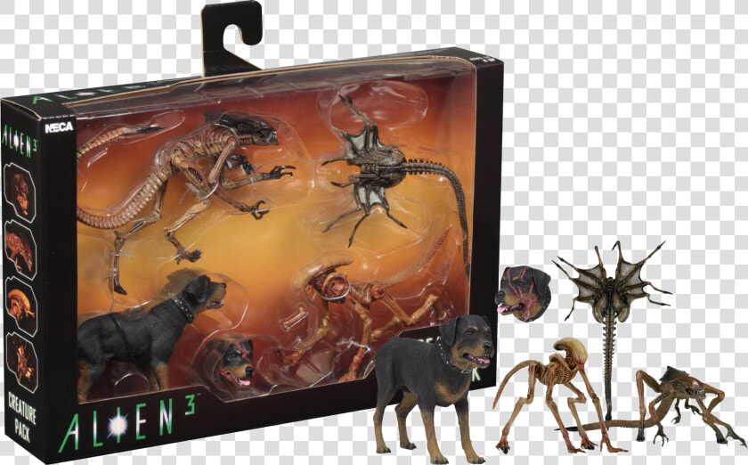 Neca Alien 3 Creature Pack  HD Png DownloadTransparent PNG