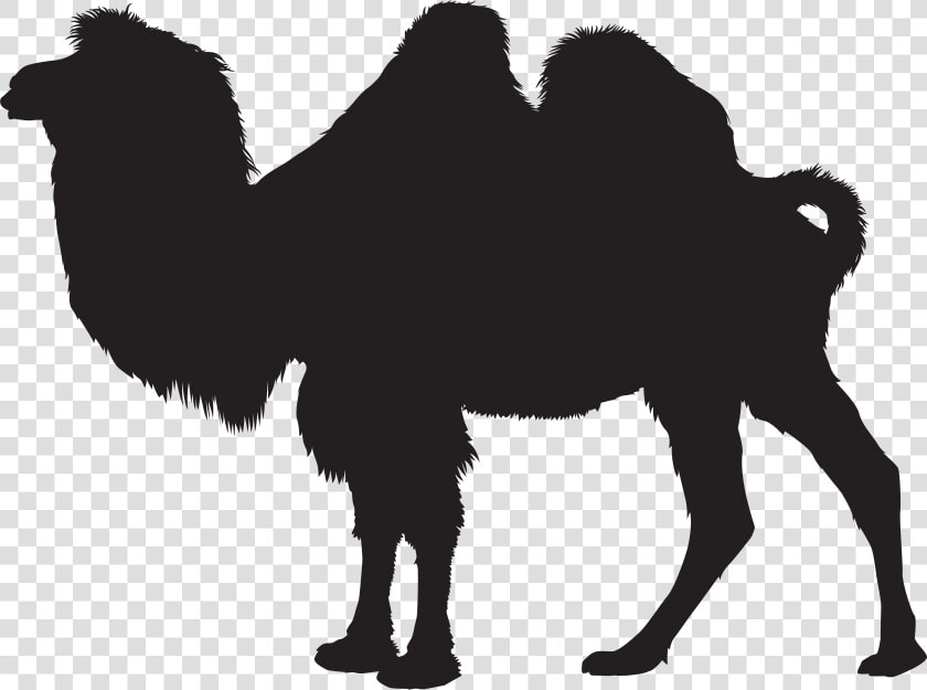 Camel Silhouette Png Clip Art Imageu200b Gallery Yopriceville   Bactrian Camel Silhouette  Transparent PngTransparent PNG