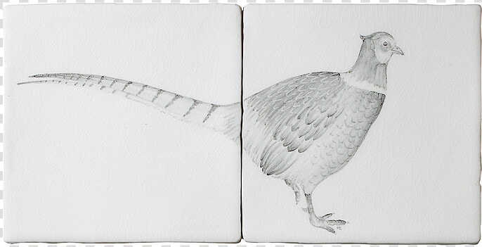 Pheasant 2 Tile Panel A By Marlborough Tiles   Ring necked Pheasant  HD Png DownloadTransparent PNG