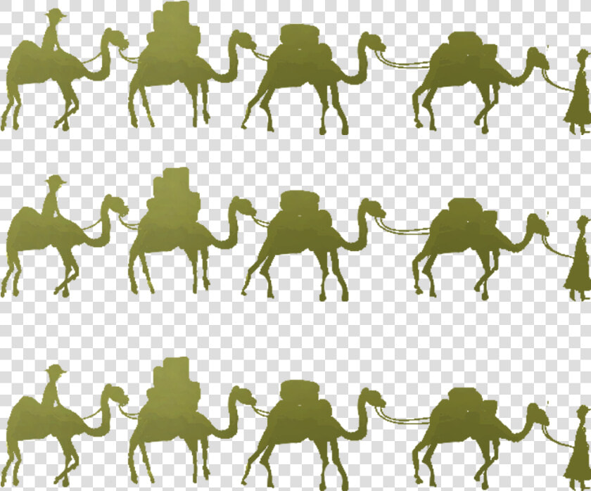 Camel One Belt One Road Initiative Horse Maritime Silk   Silk Road Png  Transparent PngTransparent PNG