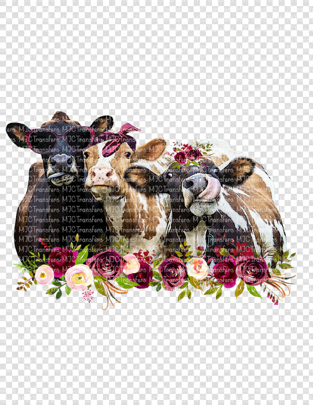 Heifer Sublimation  HD Png DownloadTransparent PNG