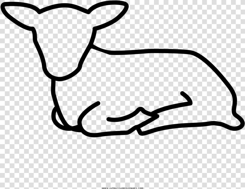 Transparent Lamb Lying Down Clipart   Sheep Lying Down Drawing  HD Png DownloadTransparent PNG