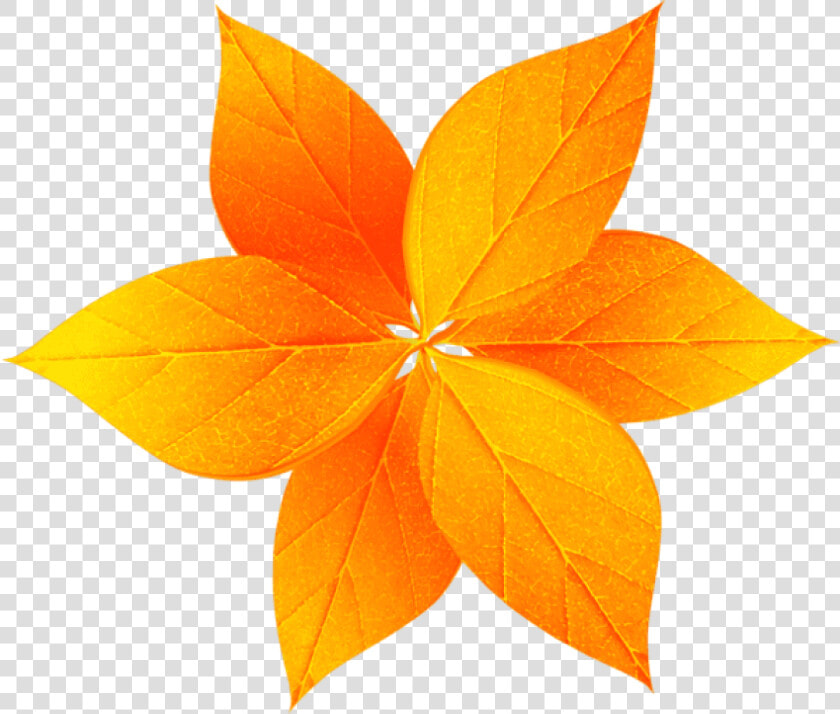 Free Png Fall Leaves Decoration Png Images Transparent   Portable Network Graphics  Png DownloadTransparent PNG