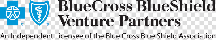 Blue Cross Blue Shield Logo Png  Transparent PngTransparent PNG