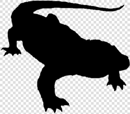 Komodo Dragon At Getdrawings   Komodo Dragon  HD Png DownloadTransparent PNG