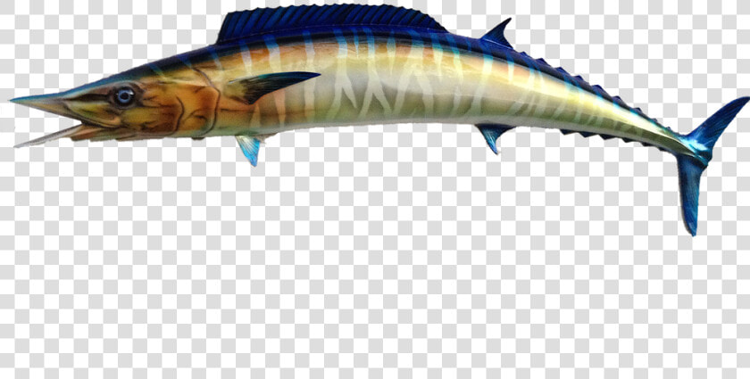 Wahoo Png  Transparent PngTransparent PNG