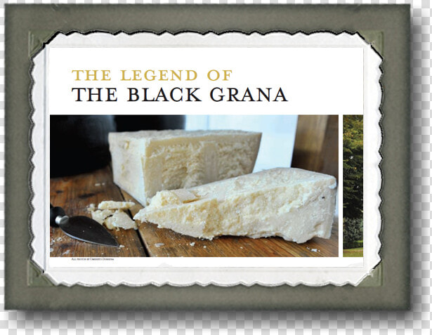 Articolo Sulla Nascita Del Grana O Parmesan   Picture Frame  HD Png DownloadTransparent PNG