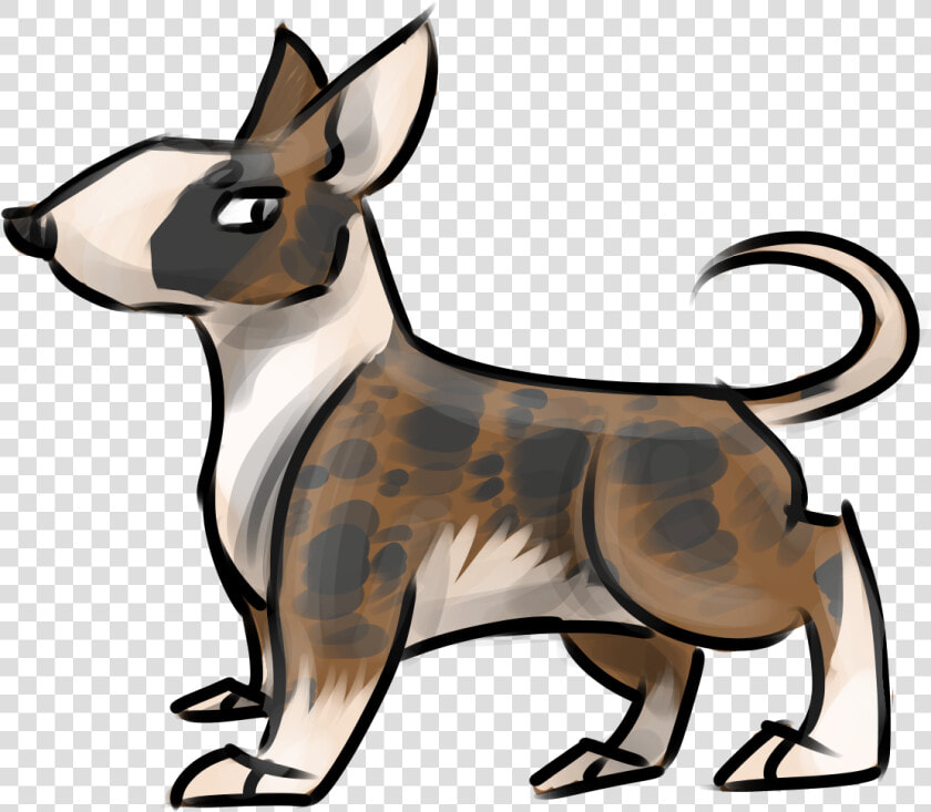 Chihuahua  HD Png DownloadTransparent PNG