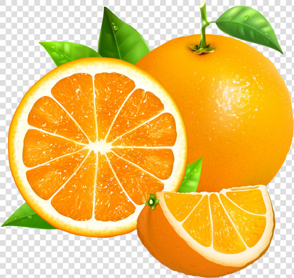 Oranges Vector  HD Png DownloadTransparent PNG