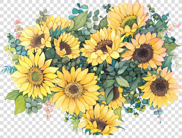 Sunflower Illustration Watercolor Common Flowers Painting   Blank Sunflower Invitation Template  HD Png DownloadTransparent PNG