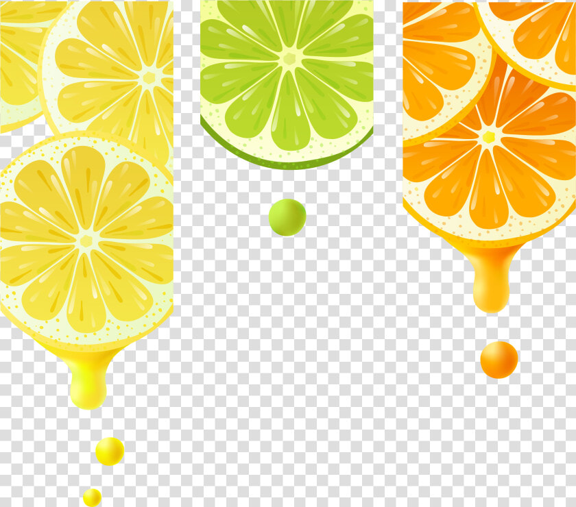 Vector Splashes Lemon   Rangpur  HD Png DownloadTransparent PNG