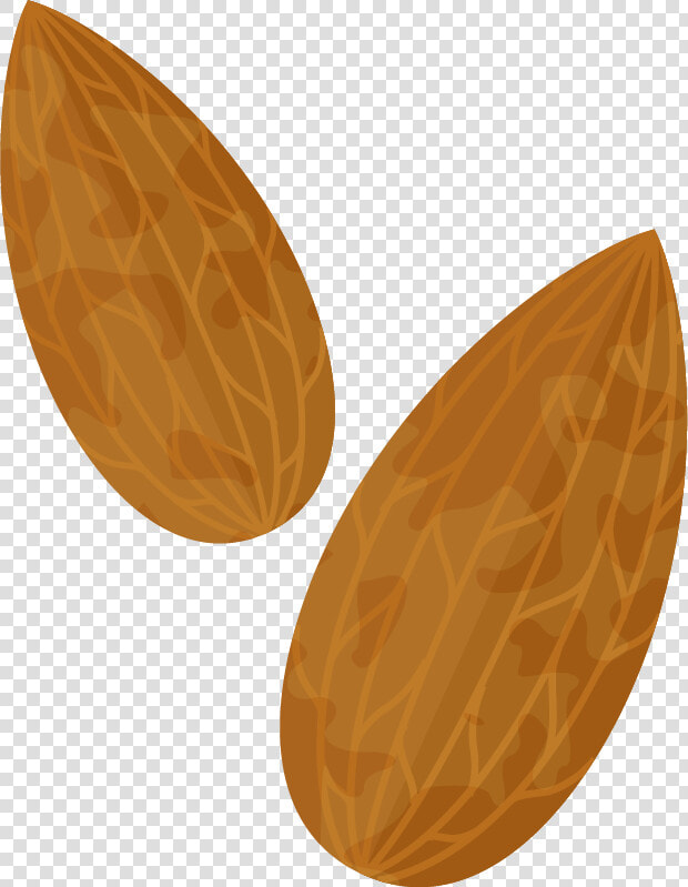 Almond Png Transparent Free   Png Almond Clipart  Png DownloadTransparent PNG