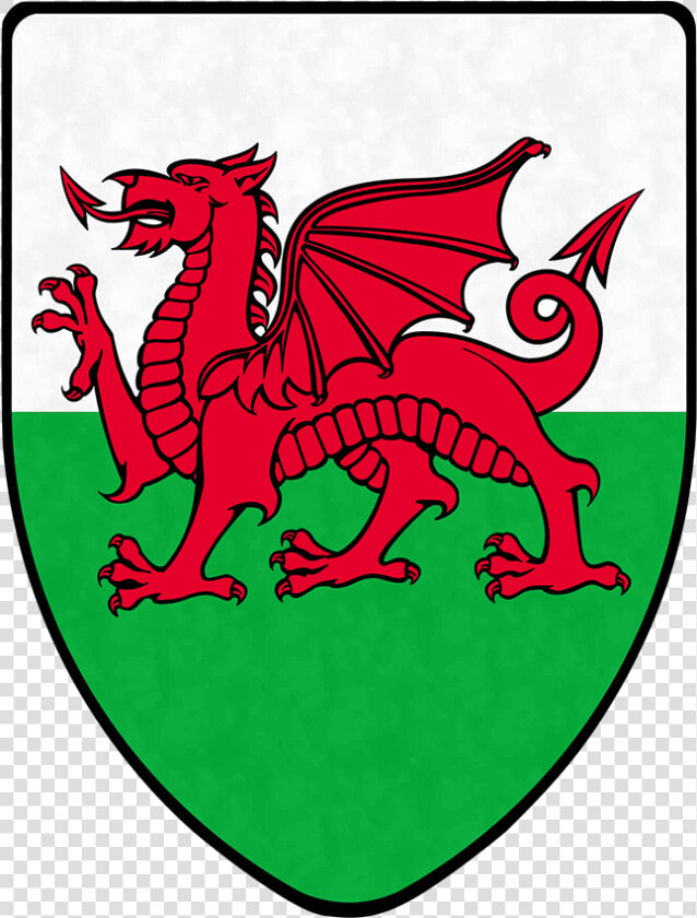 Welsh Dragon Steel Battle Shield   Flag Of Wales  HD Png DownloadTransparent PNG