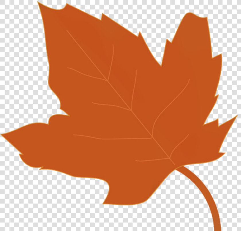 Leaf Clipart Autumn   Transparent Fall Leaf Clip Art  HD Png DownloadTransparent PNG