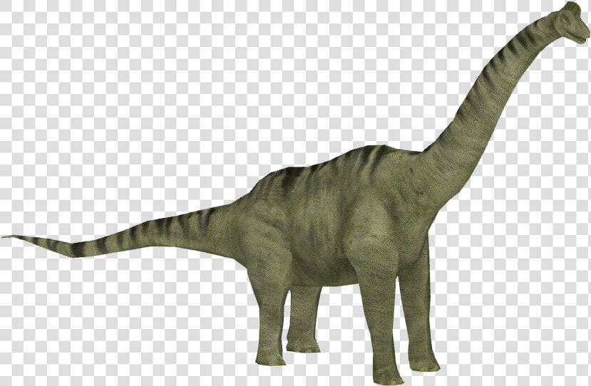 Brachiosaurus Png Clipart   Brachiosaurus Jurassic Park Transparent  Png DownloadTransparent PNG