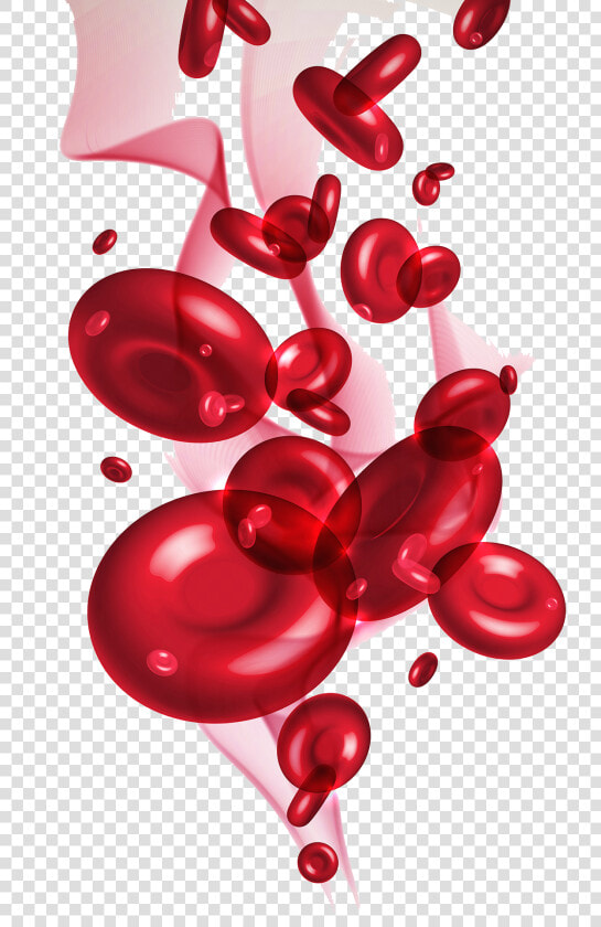 Transparent Blood Pool Png   Red Blood Cells Png  Png DownloadTransparent PNG