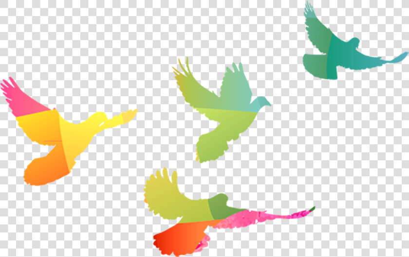 Palomas En Color Oro Png  Transparent PngTransparent PNG