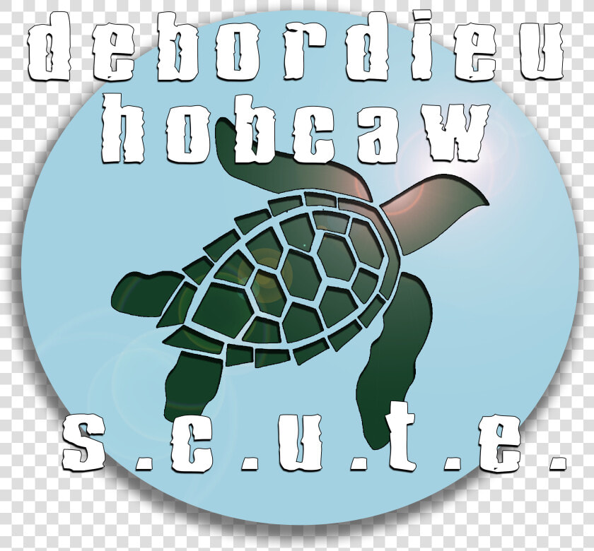 Debordieu  amp  Hobcaw S   Hawksbill Sea Turtle  HD Png DownloadTransparent PNG