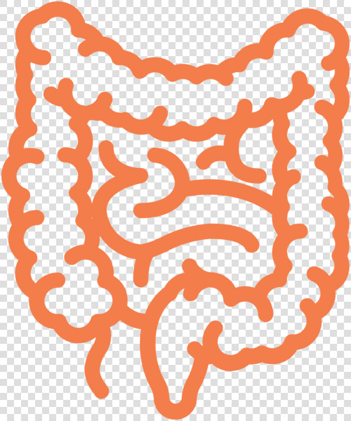 Intestine Ecm Cell Culture Substrates   Intestines Icon  HD Png DownloadTransparent PNG