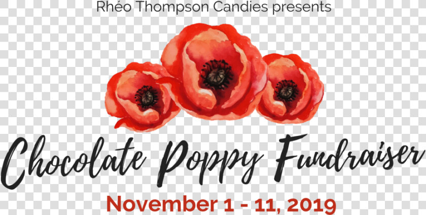 Chocolate Poppy Fundraiser  HD Png DownloadTransparent PNG