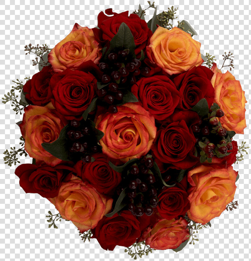 Floribunda  HD Png DownloadTransparent PNG