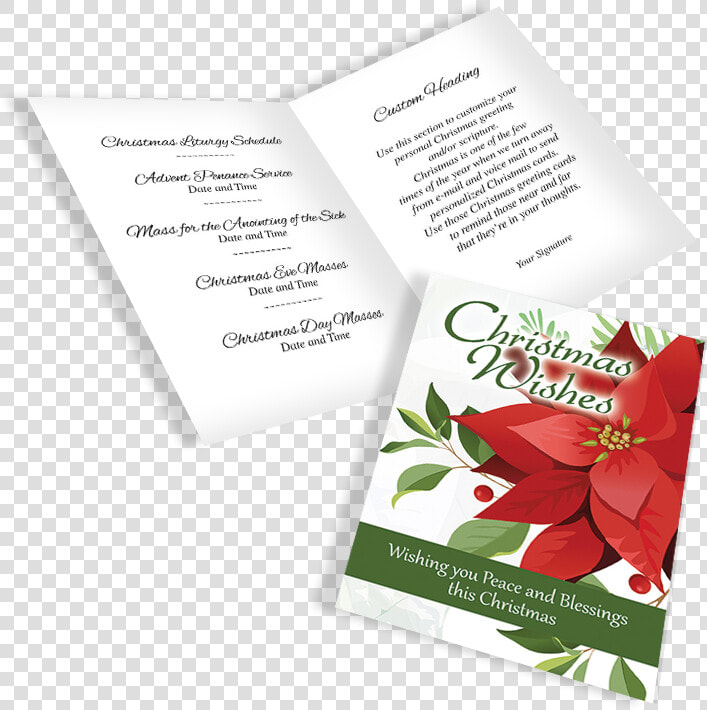 Advent18 A Eng Display   Poinsettia  HD Png DownloadTransparent PNG