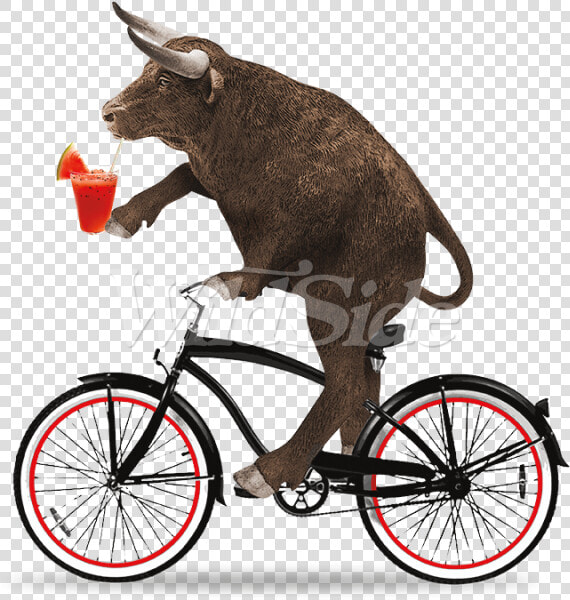 Clipart Bike Beach Cruiser   Bull Riding A Bicycle  HD Png DownloadTransparent PNG