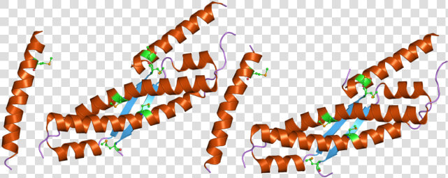 Pdb 2h3r Ebi   Bovine Serum Albumin Structure  HD Png DownloadTransparent PNG