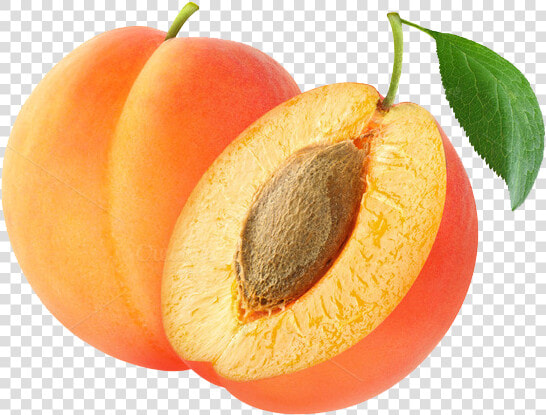 Apricot Kernel Amygdalin Fruit Almond   Apricot Transparent Png  Png DownloadTransparent PNG