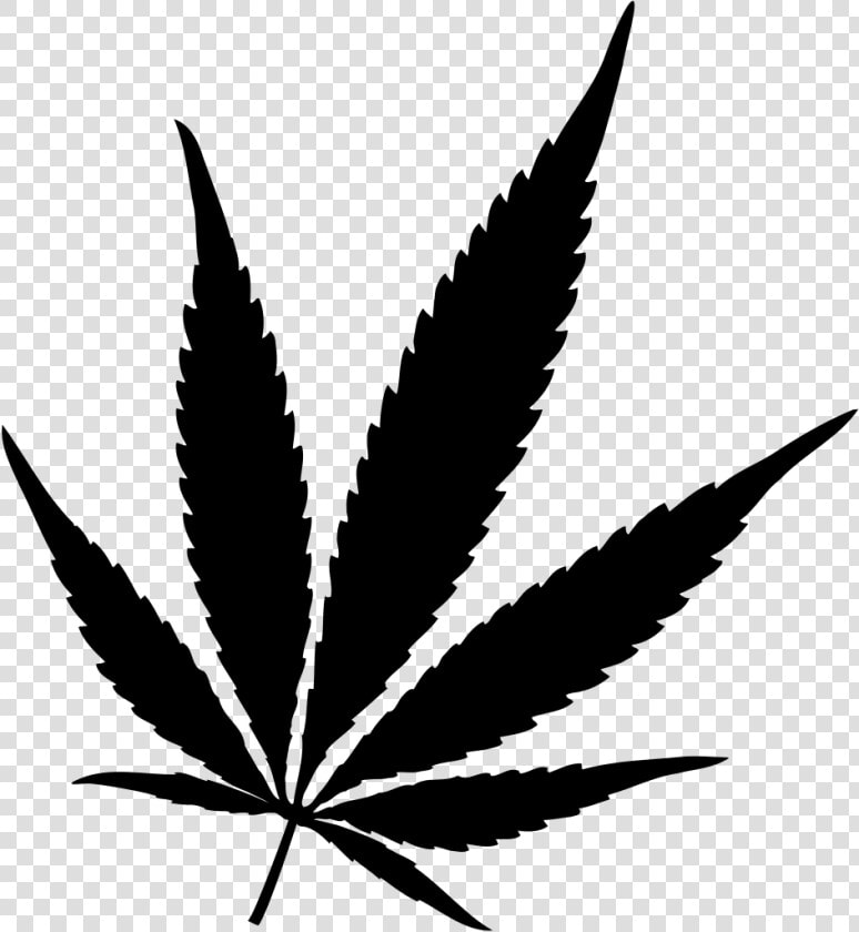 15 Marijuana Leaf Vector Png For Free Download On Mbtskoudsalg   Pot Leaf Png  Transparent PngTransparent PNG