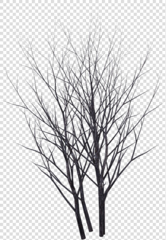 Winter Bush 05 By Wolverine04   Bushes Transparent Background Silhouette  HD Png DownloadTransparent PNG