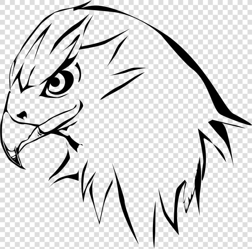 Hawk Png Black And White   Clip Art Hawk  Transparent PngTransparent PNG