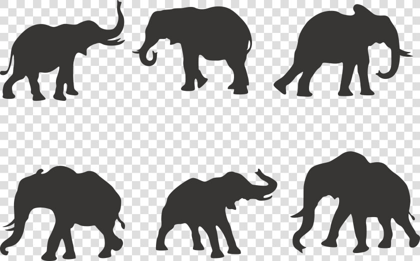 African Elephant Silhouette Indian Elephant   6 Elephant  HD Png DownloadTransparent PNG