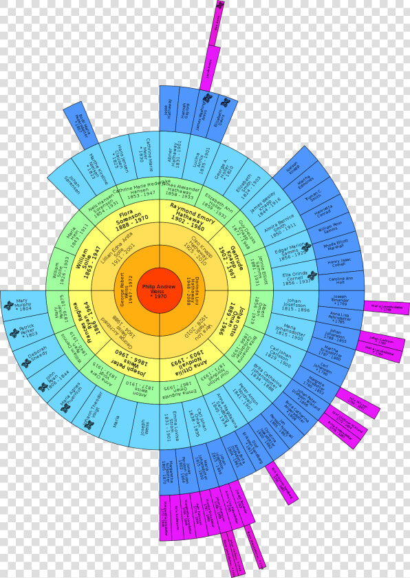 The Big Tree Fan Chart With Dna Matches Marked  HD Png DownloadTransparent PNG